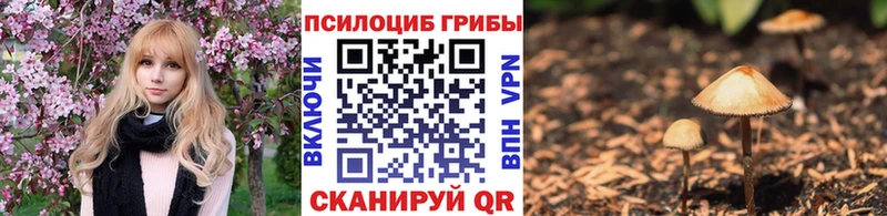 ОМГ ОМГ зеркало продажа наркотиков Красноуфимск Галлюциногенные грибы GOLDEN TEACHER
